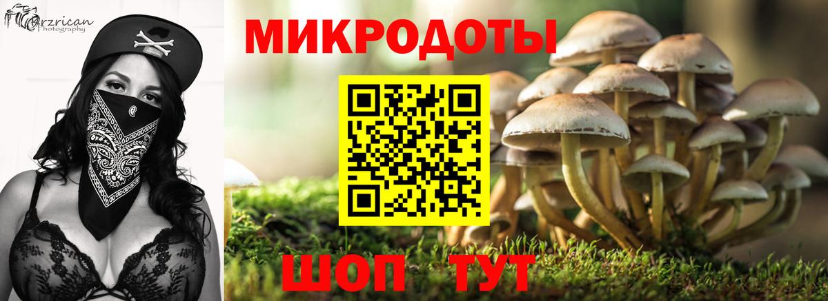 цена наркотик  Вход с VPN  Воткинск  Галлюциногенные грибы Psilocybe  Галлюциногенные грибы Psilocybine cubensis 